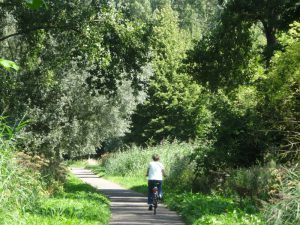 Valckesteinsebos