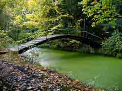 walvisbrug03