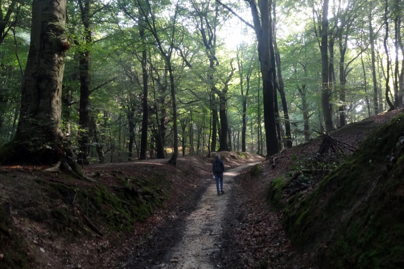 De Sint Jansberg Natuurvereniging IJsselmonde