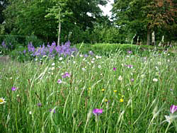 vlindertuin