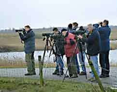 Vogelwerkgroep in aktie