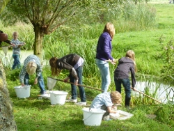 waterdiertjes scheppen