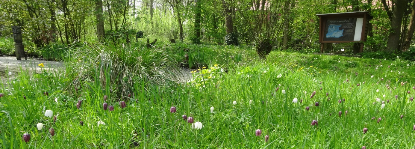 plantentuin-charlois