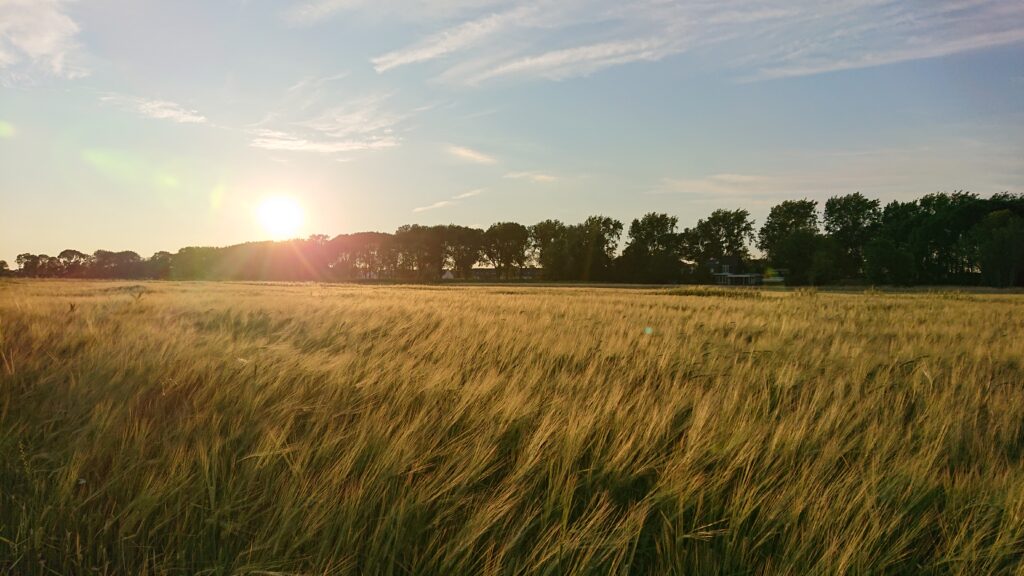 Zegenpolder