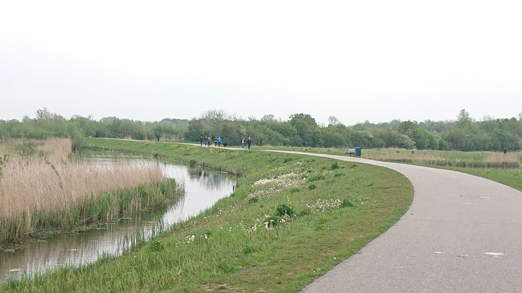 Het pad in de Zuidpolder